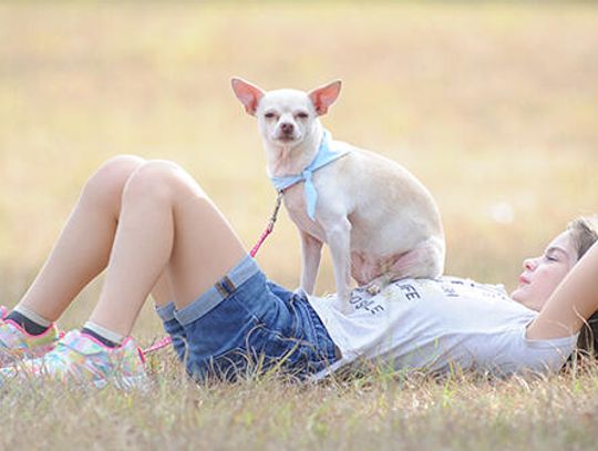 Fun Run with furry friends
