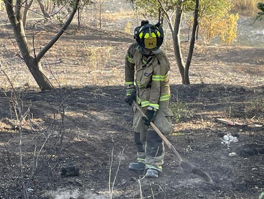 Gov. Greg Abbott issues disaster declaration for wildfire activity in 191 Texas counties