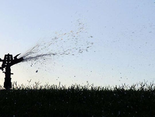 Grass to be installed at district's new ball fields instead of turf