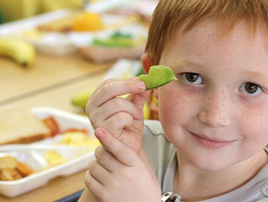 Have a heart: Poor diet, lack of exercise key to low heart health scores