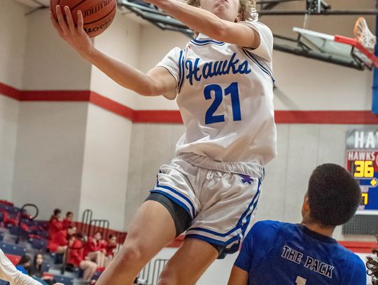 Hawks best Lobos, Lions in Buda