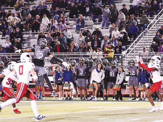 Hawks nearly shutout Lobos, take 42-3 win
