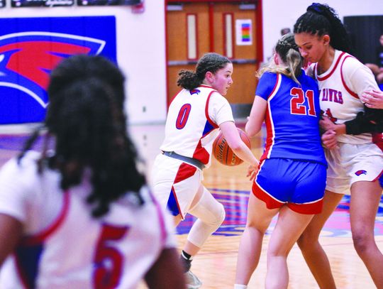 Hawks pin down Lions