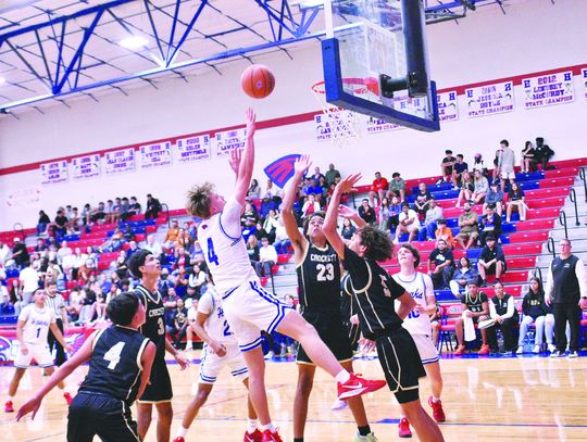 Hawks soar over Cougars