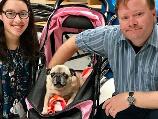 Hays CISD students create new life for fostered dog