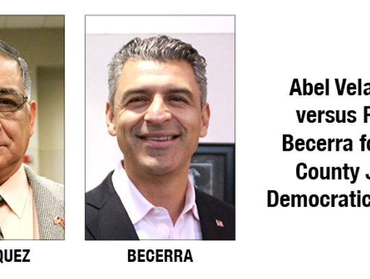 Hays County Judge Democratic Primary