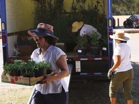 Hays County Master Gardeners to hold Spring Plant &amp; Tree Sale