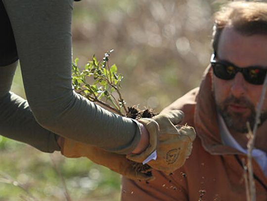 Hays County OKs Blanco reforestation by split vote