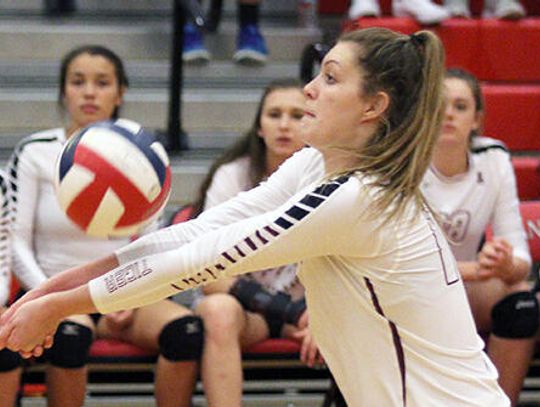 Hays Free Press/News-Dispatch Volleyball Team 2016