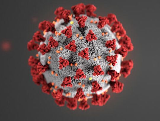 Hays to receive 1,950 Pfizer doses weekly