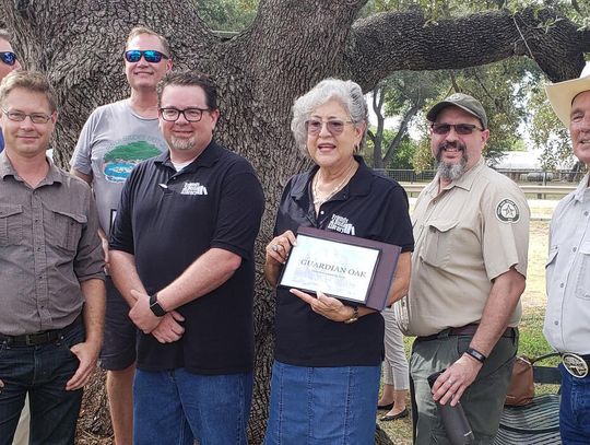 Historic oak gets new name