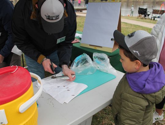 It's O-Fish-Ial: Buda Fun Fish to be held twice per year