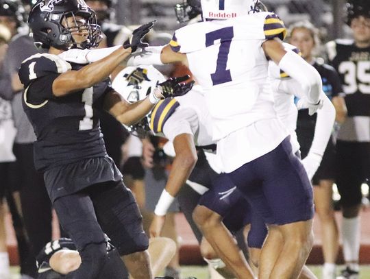 Jags reign victorious over Stony Point Tigers