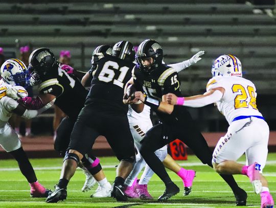 Jaguars host, prevail over Buffaloes