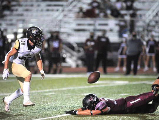 Johnson Jaguars tame Lions for historic win