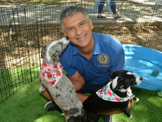 Judge Becerra dedicates birthday to animals
