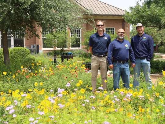 Kyle Conservation Division making headway in environmental change