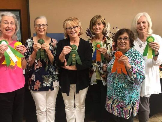 Kyle Garden Club hosts flower show