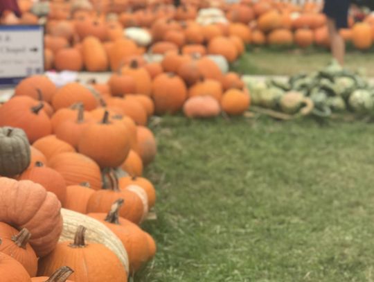 Kyle hosts several Halloween activities through October