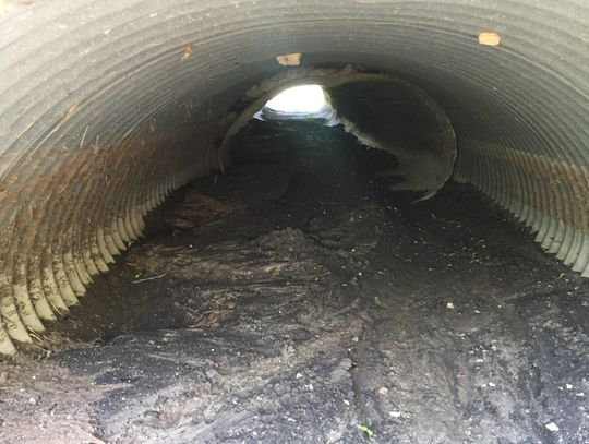 Kyle OK's spending up to $50K to replace old culvert