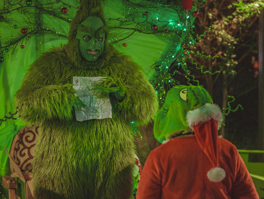 Kyle residents get Grinchy with it