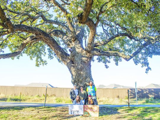 Kyle residents protest removal of 400-year-old tree