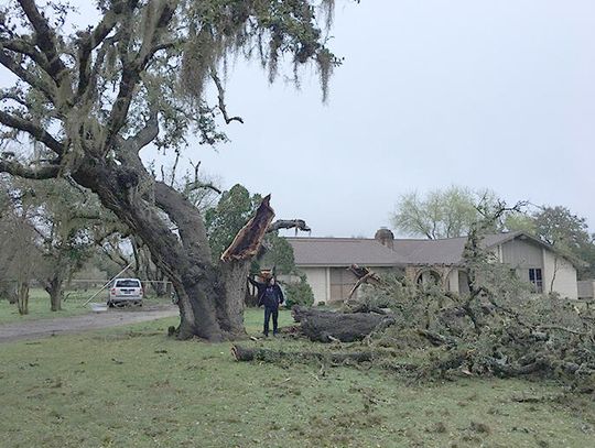 Kyle residents recover from storm event