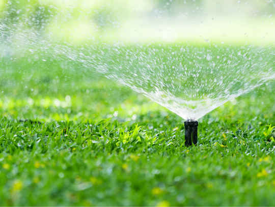 Kyle under amended Stage 2 Mandatory Water Use Management Rules