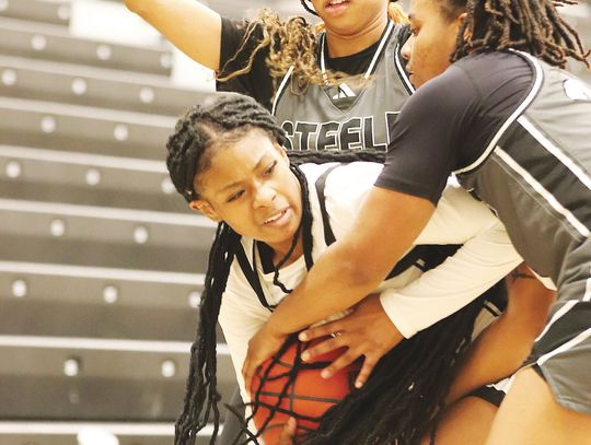 Lady Jags falter against Steele