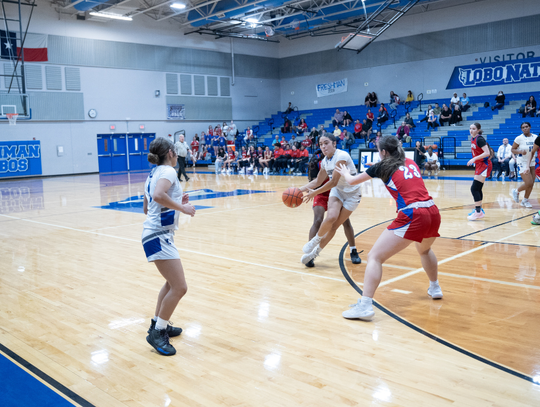 Lady Lobos defeated by Hays Hawks