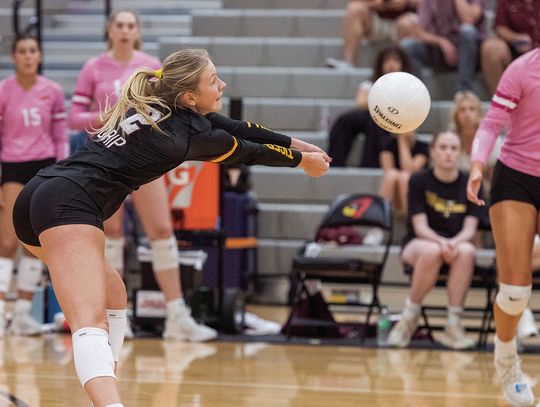 Lady Tigers clinch district volleyball championship