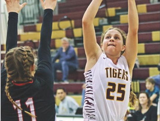 Lady Tigers fall short