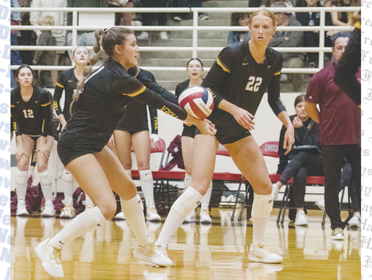 Dripping Springs Lady Tigers fall to Austin High School in Region IV Finals