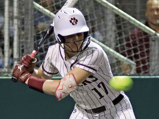 Dripping Springs Lady Tigers softball advances to Area