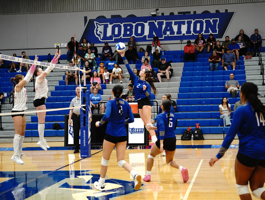 Lehman Lady Lobos swept by Rouse