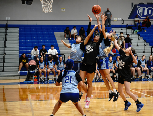 Lehman Lady Lobos tip off basketball season