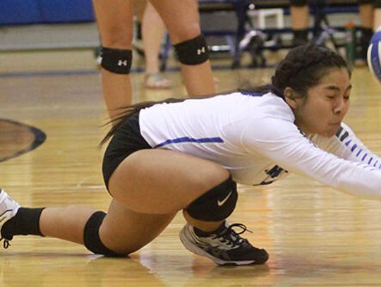 Lehman volleyball drops home opener in straight sets