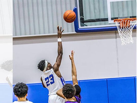 Lobo basketballer surges into varsity role