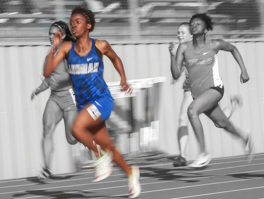 Lobo/Rebel Track
