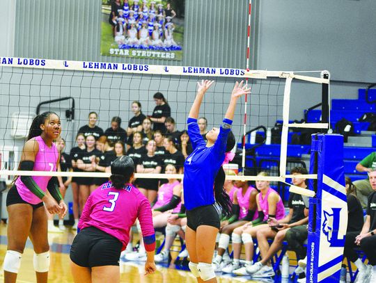 Lobos swept by Timberwolves