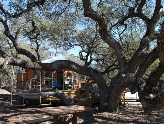Local Airbnb host named Top New Host in Texas