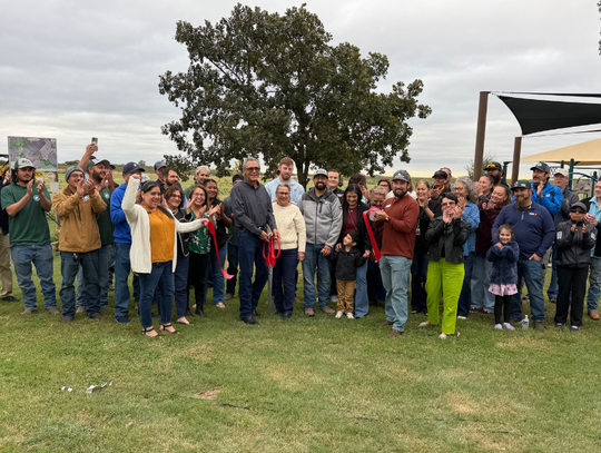 Local business donates 15 trees for 15 years