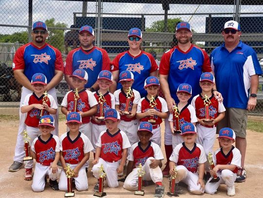 Local Little League team goes to World Series