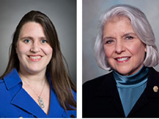 Local representatives pre-file bills for the 87th legislative session