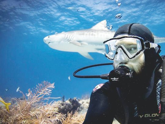 Local shark enthusiast publishes children’s book