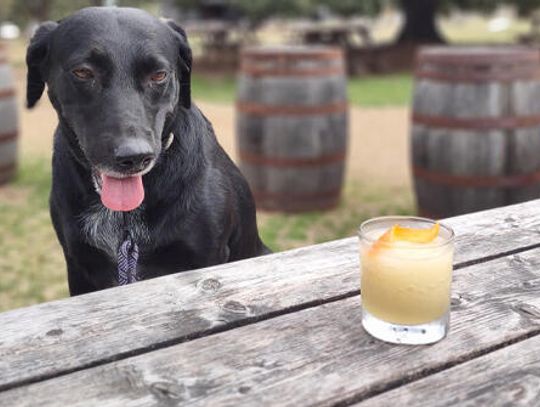 Man's Best Friend helps PAWS