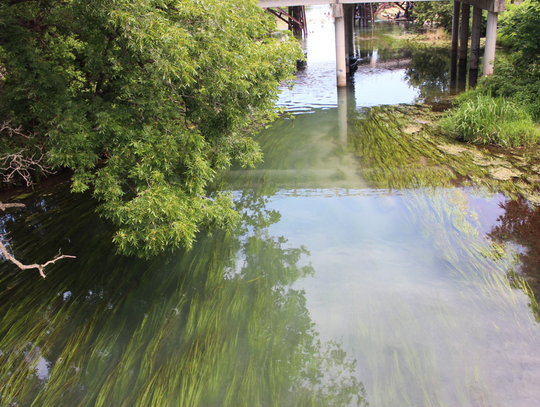 Meadows Center shares San Marcos River history