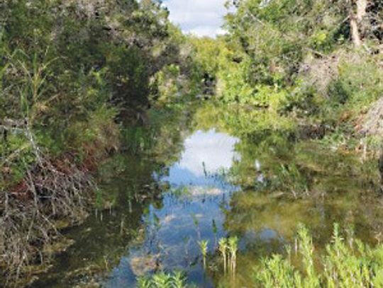 Natural resource park coming to Dripping Springs