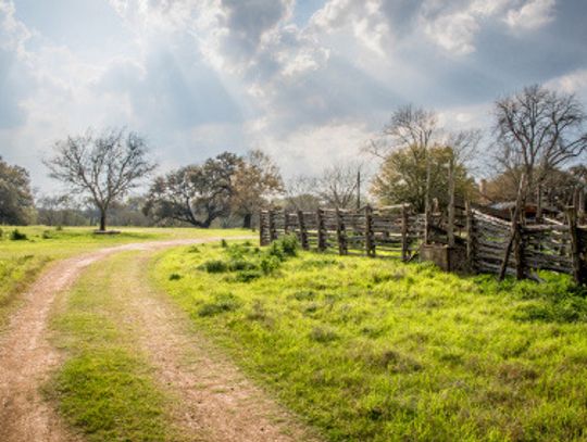 Nature as Infrastructure: A legacy for the future