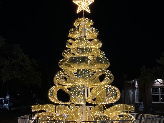 Neighborhood Christmas lights on display